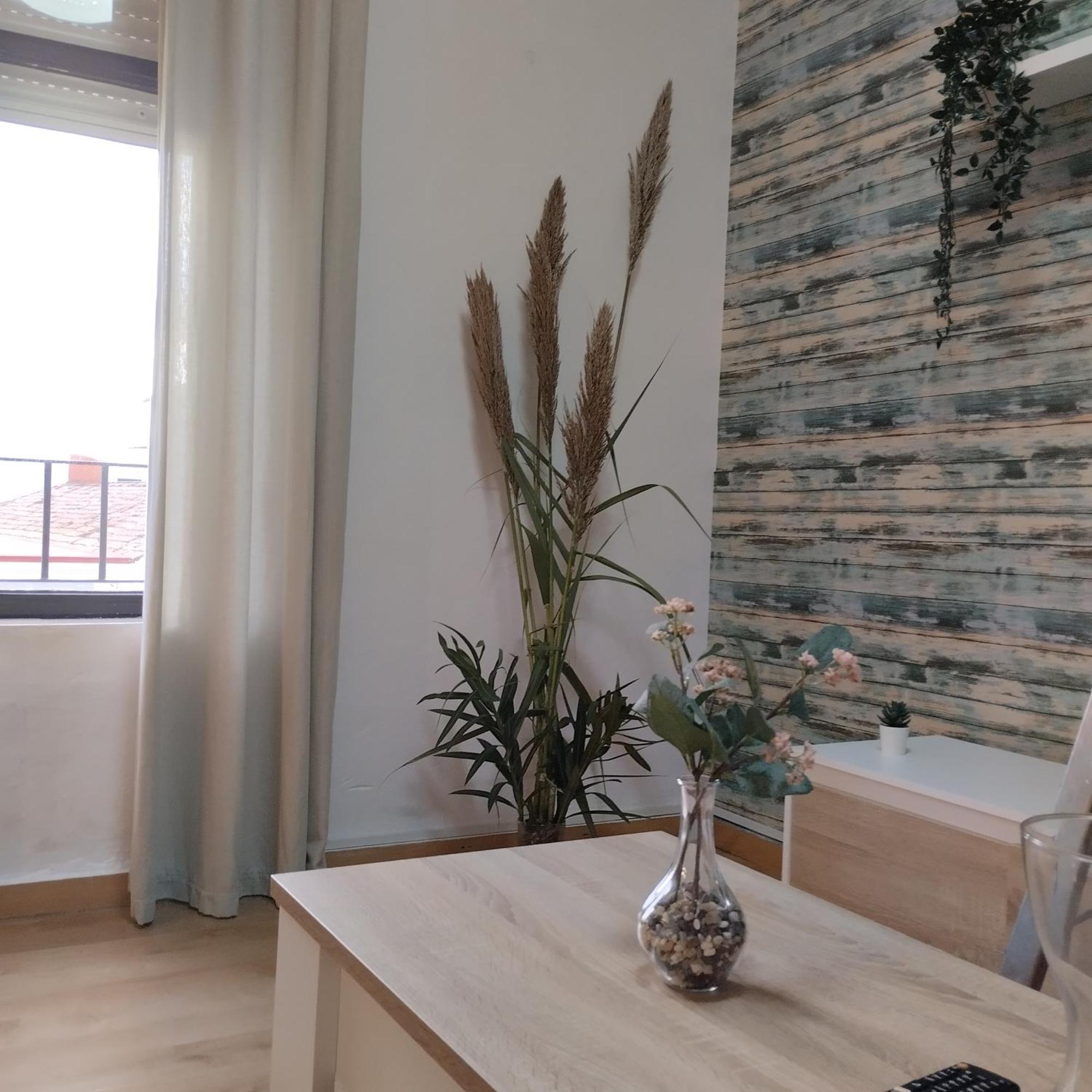 Apartamento Esperanza De La Yedra 赫雷斯 外观 照片